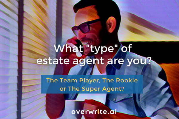 What “type” of estate agent are you?
